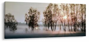 Obraz - Ranná sychravosť (120x50 cm)