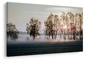 Obraz - Ranná sychravosť (90x60 cm)