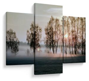 Obraz - Ranná sychravosť (90x60 cm)
