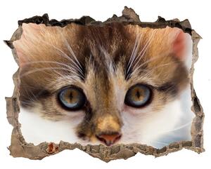 Díra 3D fototapeta nástěnná Malá mačka nálepka