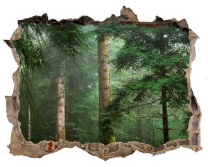 Díra 3D foto tapeta nálepka Hmla v lese nd-k-95330664