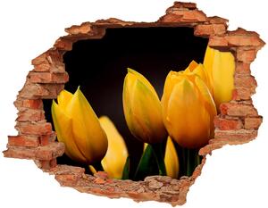 Fototapeta diera na stenu Žlté tulipány nd-c-64836622