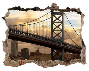 Fototapeta díra na zeď 3D Bridge philadelphia