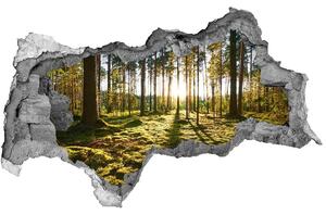 Nálepka fototapeta 3D na stenu Borovica lesná