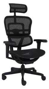 Ergonomické kreslo Ergohuman 2 Ultra BS Black