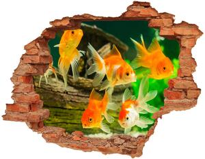 Diera 3D fototapeta nálepka Zlatá rybka nd-c-89540196