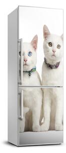 Nálepka fototapeta chladnička Dve biele mačky