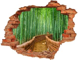 Foto fotografie diera na stenu Bambusové lesy nd-c-97156437