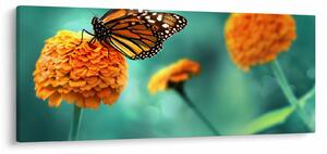 Obraz motýľa (120x50 cm)