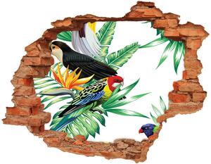 Diera 3D v stene nálepka Tropické vtáky nd-c-82973697