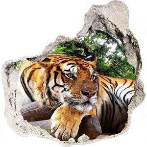 Samolepiaca diera nálepka Tiger na skale nd-p-61968911