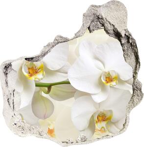 Fototapeta diera na stenu 3D Orchidea nd-p-123330197