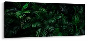 Obraz - Tropické papradie (120x50 cm)