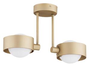 Argon 7215 - Kúpeľňový luster na tyči MASSIMO PLUS 2xG9/6W/230V IP44 zlatá