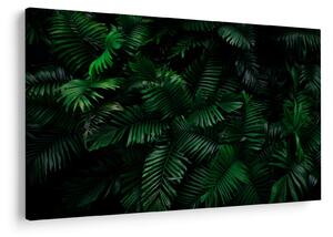 Obraz - Tropické papradie (90x60 cm)