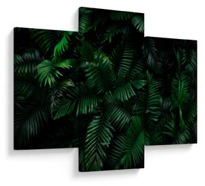 Obraz - Tropické papradie (90x60 cm)