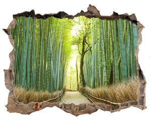 Nálepka fototapeta 3D výhled Bambusové lesy nd-k-72519653