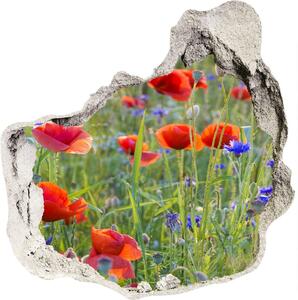 Nálepka 3D diera betón Poľné kvety nd-p-65958845