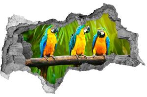 Diera 3D fototapeta na stenu Papagáje na vetve