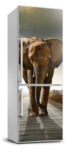 Nálepka fototapeta chladnička Chodiaci slon XL