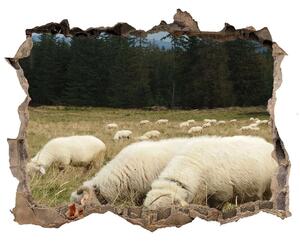 Díra 3D fototapeta nálepka Pasúce sa ovce nd-k-197671747