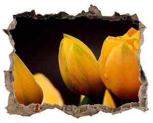 Samolepící díra nálepka Žlté tulipány nd-k-64836622