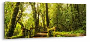 Obraz machové džungle (120x50 cm)