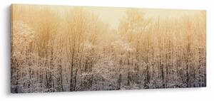 Obraz mrazivého lesa (120x50 cm)