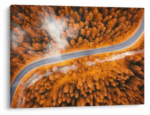 Obraz - Horská cesta (70x50 cm)