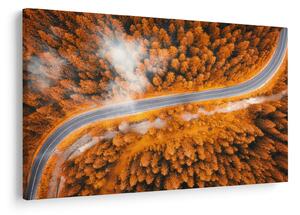 Obraz - Horská cesta (90x60 cm)