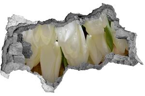 Samolepiaca nálepka fototapeta Biele tulipány