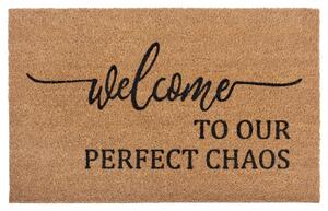 Hanse Home Collection koberce Rohožka Welcome to our perfect chaos 105702 - 45x70 cm