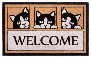 Hanse Home Collection koberce Rohožka Welcome, 3 mačky 105708 – na von aj na doma - 45x70 cm