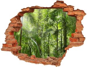 Fotoobraz diera na stenu Tropický les nd-c-72098525