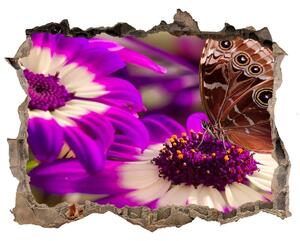 Samolepící díra na stěnu Motýľ na kvetine