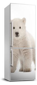 Foto tapeta na chladničku Ľadový medveď XL