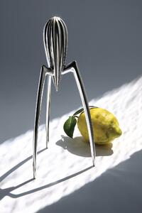 Odšťavovač citrónov "Juicy Salif" - Alessi