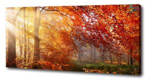 Foto obraz na plátne Jesenný les pl-oc-125x50-f-122248477