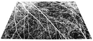 Tutumi, plyšový koberec Nature 4D vzor: biele stromy 160x230 cm, SHG-09002