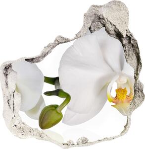 Nálepka diera na stenu betón Orchidea nd-p-103920801