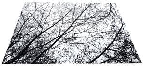 Tutumi Nature 4D, plyšový koberec vzor: čierne stromy 140x200 cm, SHG-09009