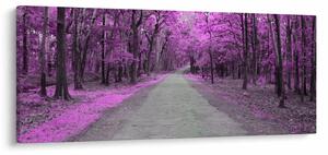Obraz - Cesta parkom (120x50 cm)