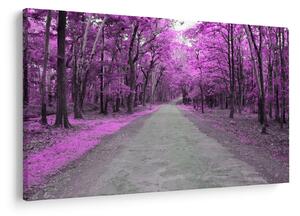 Obraz - Cesta parkom (90x60 cm)