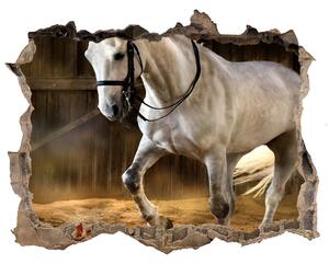 Díra 3D fototapeta na stěnu Biely kôň v stajni