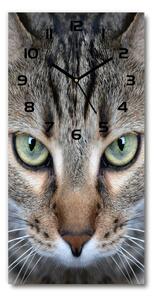 Moderné hodiny nástenné Oči mačky