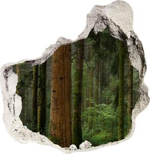Díra 3D ve zdi nálepka Hmla v lese nd-p-95353064