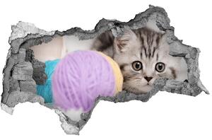 Diera 3D fototapeta nálepka Mačka s motko nd-b-58337219