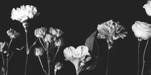 Obraz elegantné čiernobiele kvety - 100x50