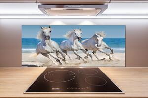 Panel do kuchyne Biele kone pláž pl-pksh-125x50-f-95257914