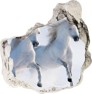 Nálepka fototapeta 3D Dva kone v snehu nd-p-46568530